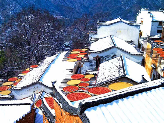 天日干しの風景